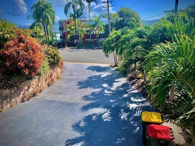 エアリービーチWhitsunday Dreamsアパートメント エクステリア 写真